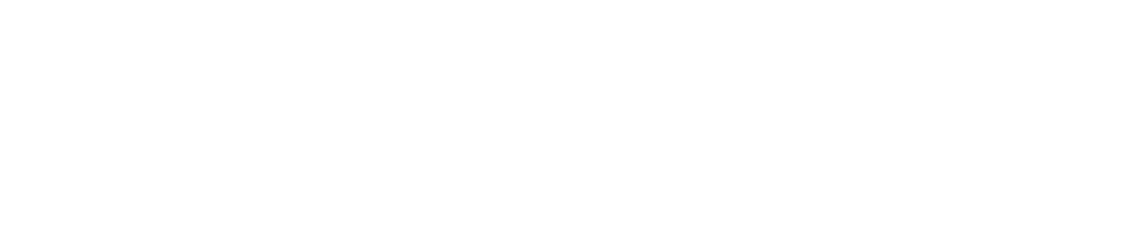 New Project